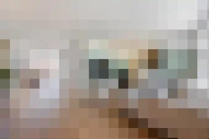 Pietjeshof 11 Maasbracht thumbnail 8