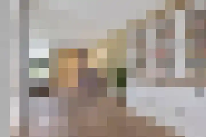 Pietjeshof 11 Maasbracht thumbnail 9