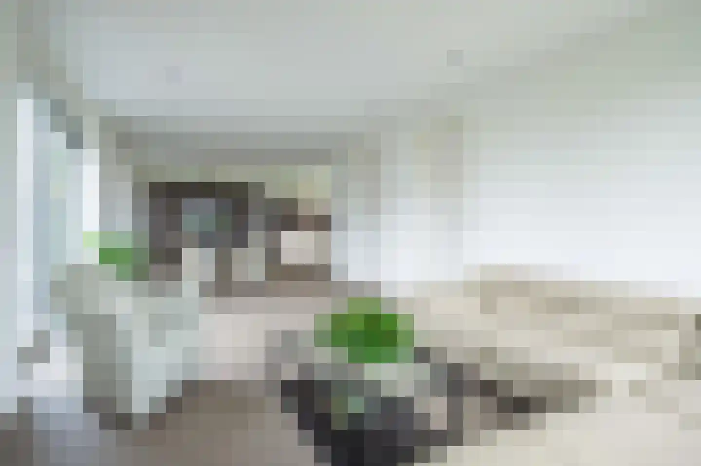 Pietjeshof 14 Maasbracht thumbnail 10