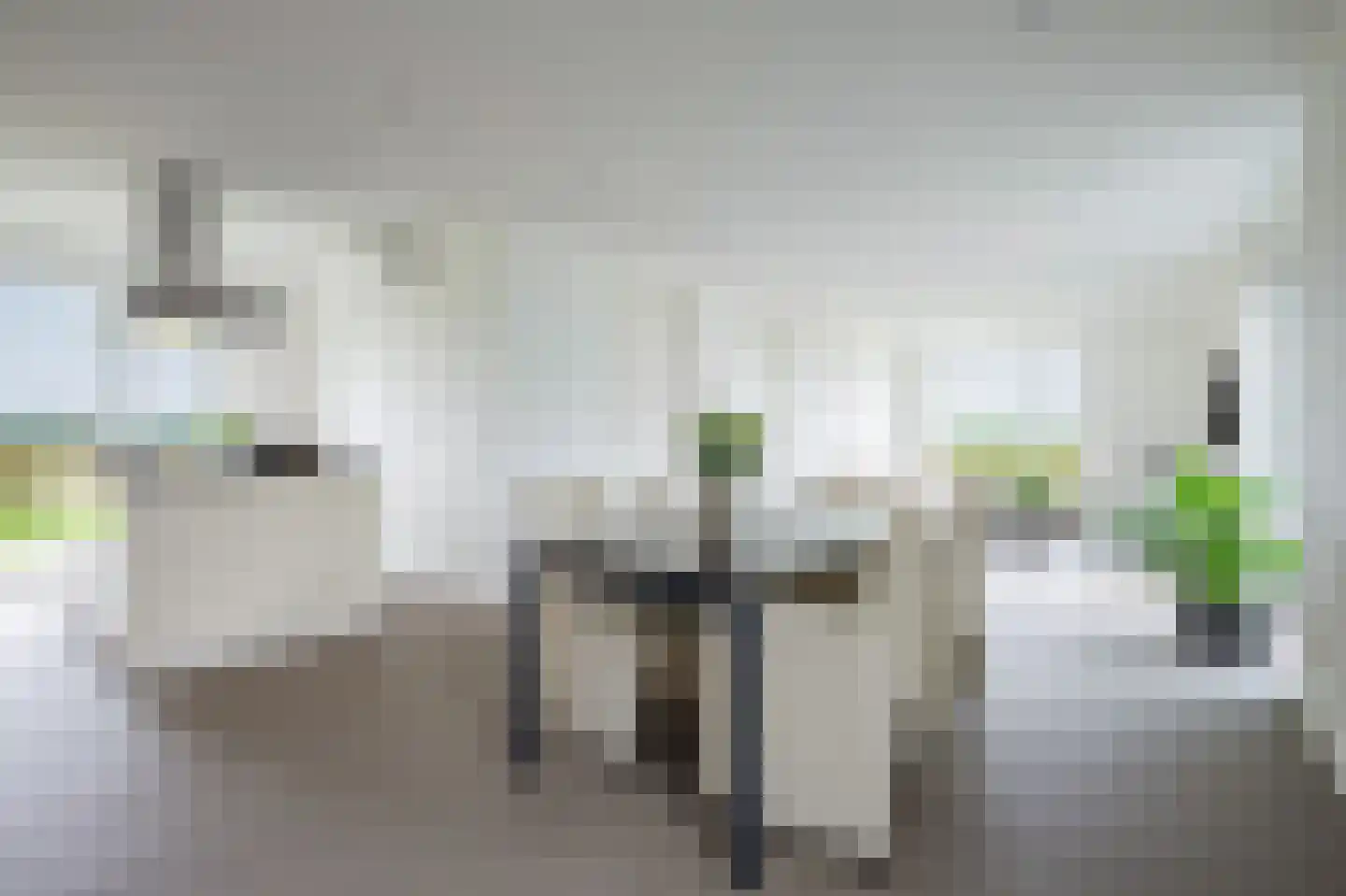 Pietjeshof 14 Maasbracht thumbnail 13