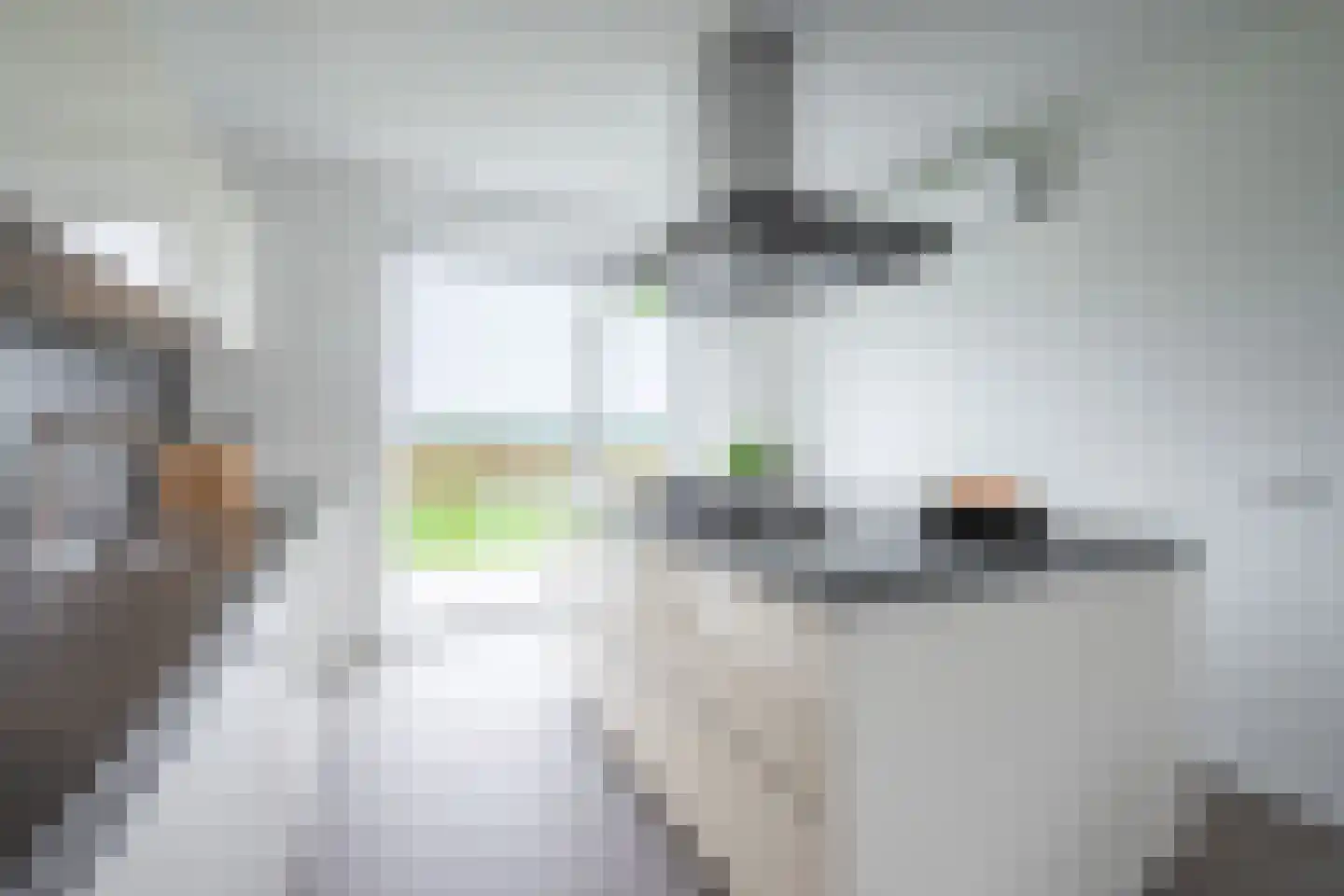 Pietjeshof 14 Maasbracht thumbnail 15