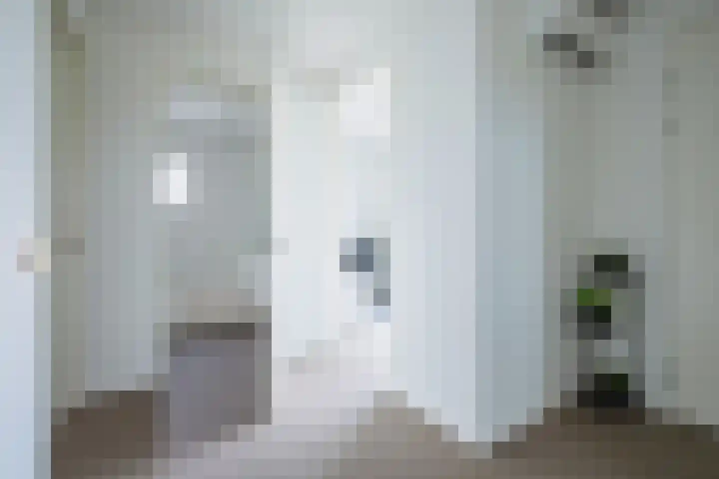 Pietjeshof 14 Maasbracht thumbnail 18