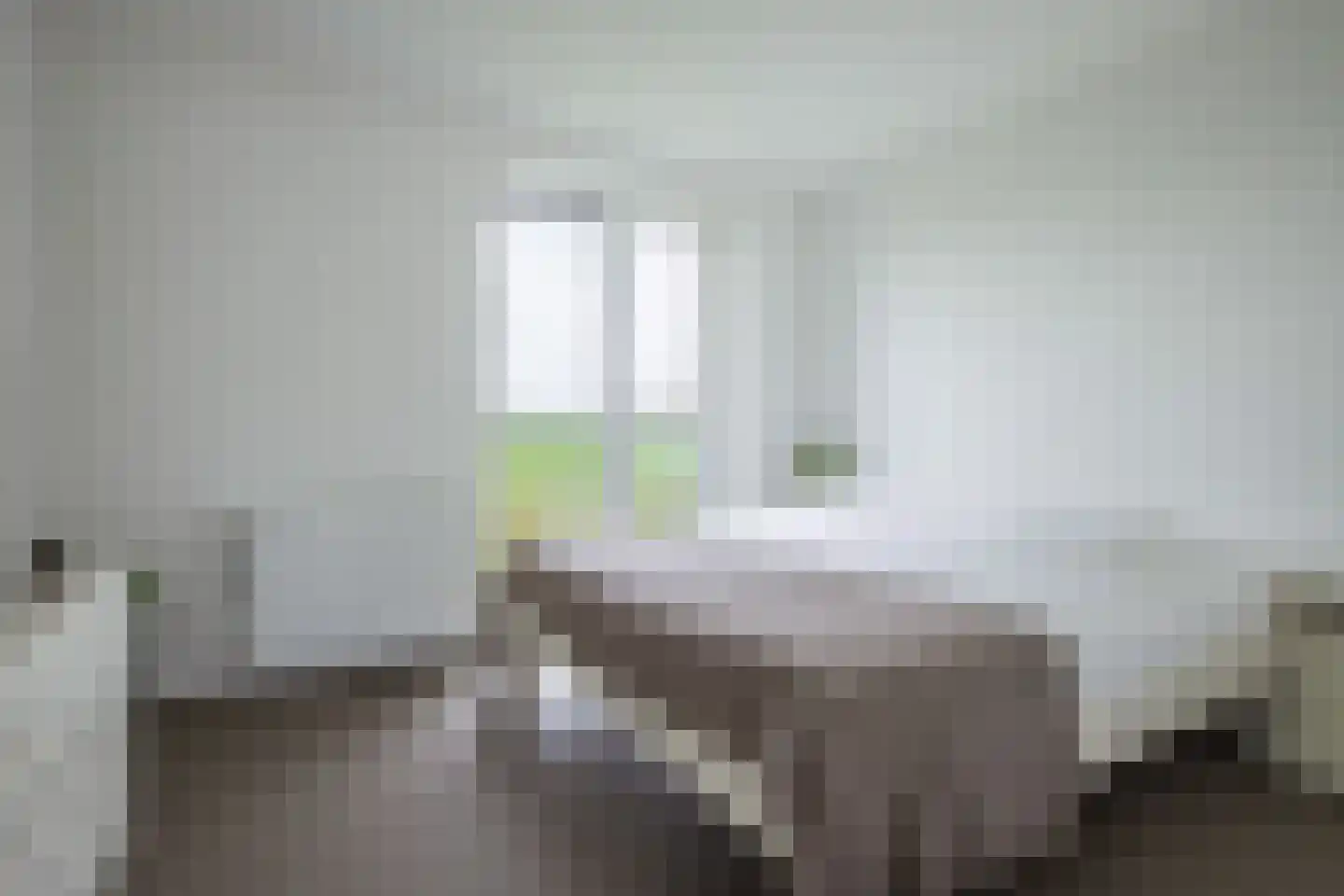 Pietjeshof 14 Maasbracht thumbnail 19
