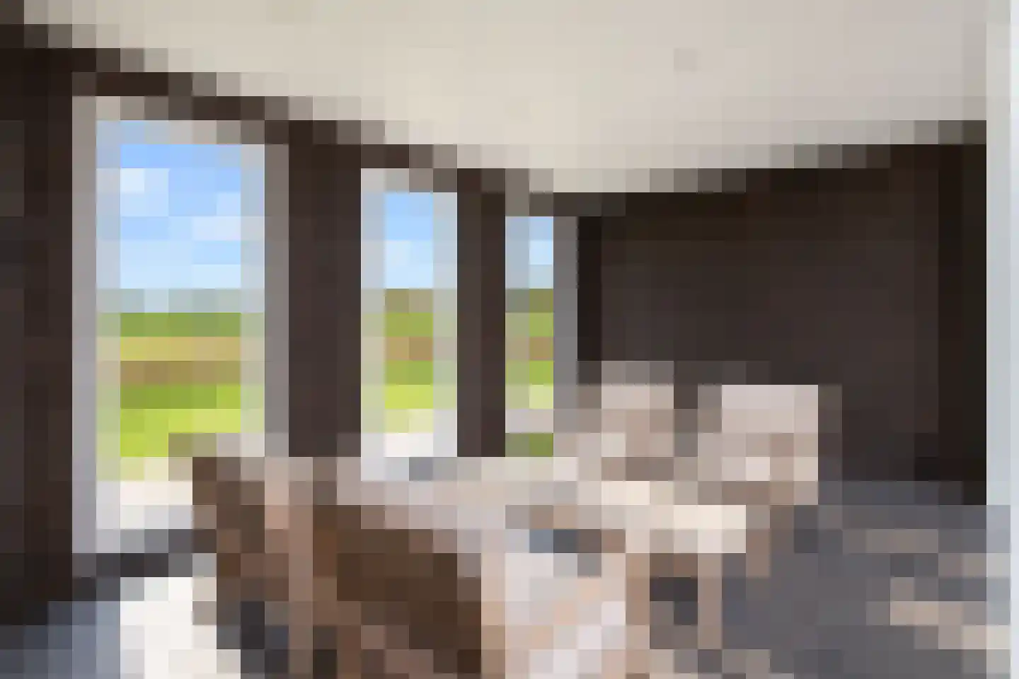 Pietjeshof 14 Maasbracht thumbnail 25
