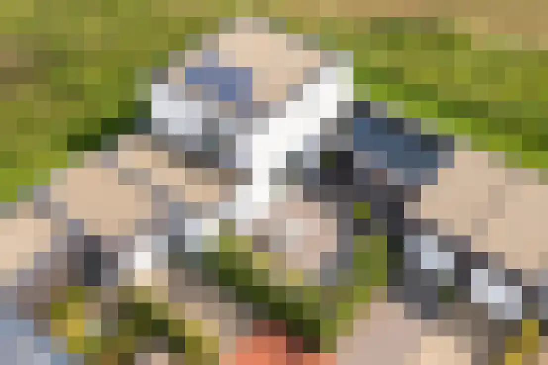 Pietjeshof 14 Maasbracht thumbnail 31
