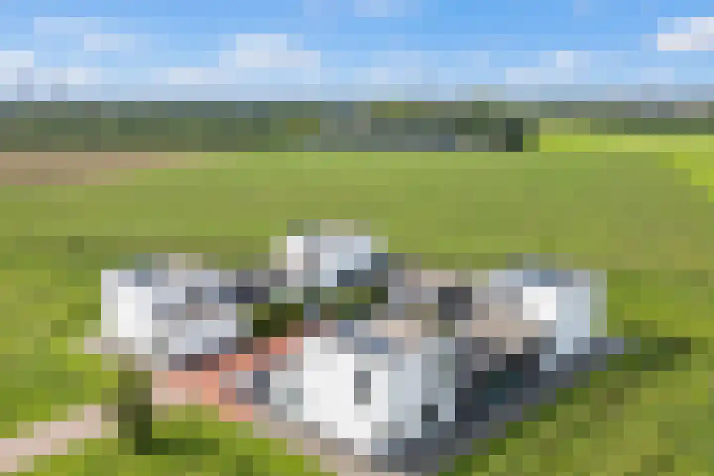 Pietjeshof 14 Maasbracht thumbnail 32