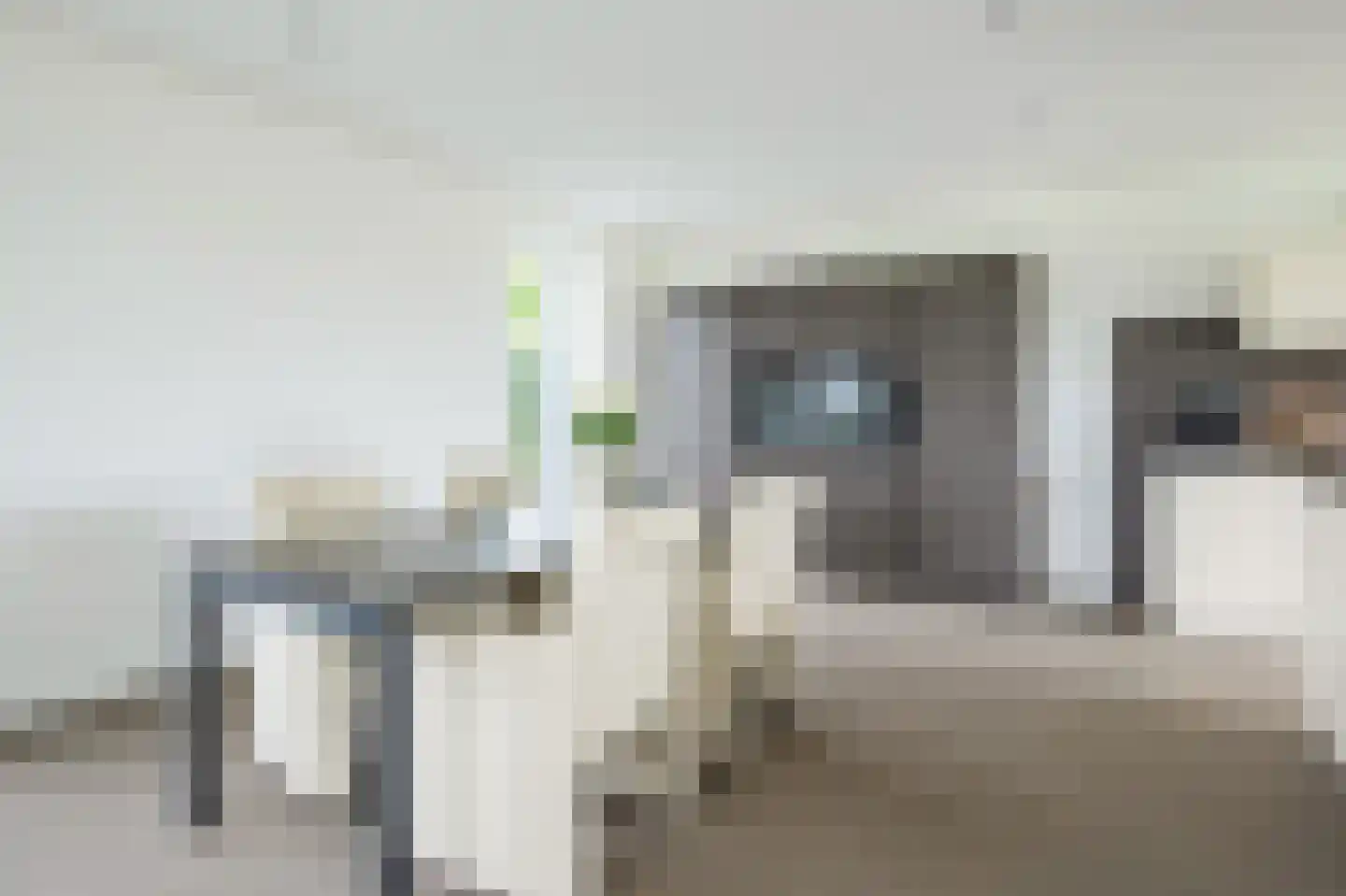 Pietjeshof 14 Maasbracht thumbnail 5