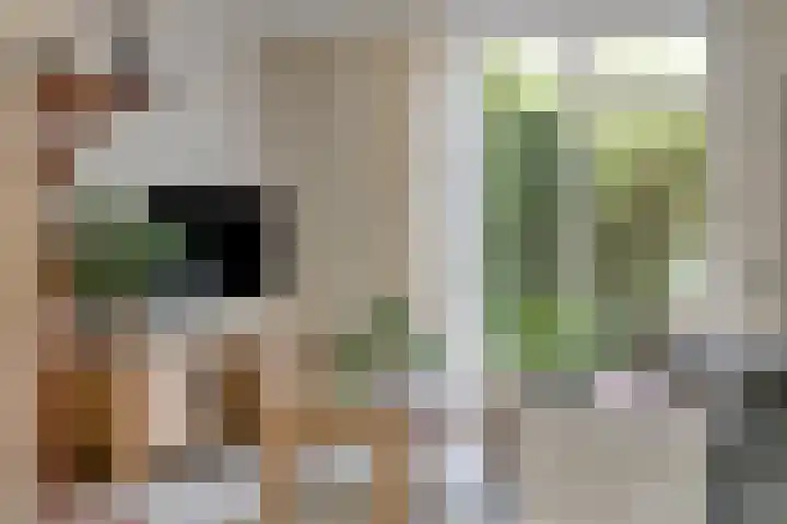 Pietmanskolkstraat 6 Borne thumbnail 11