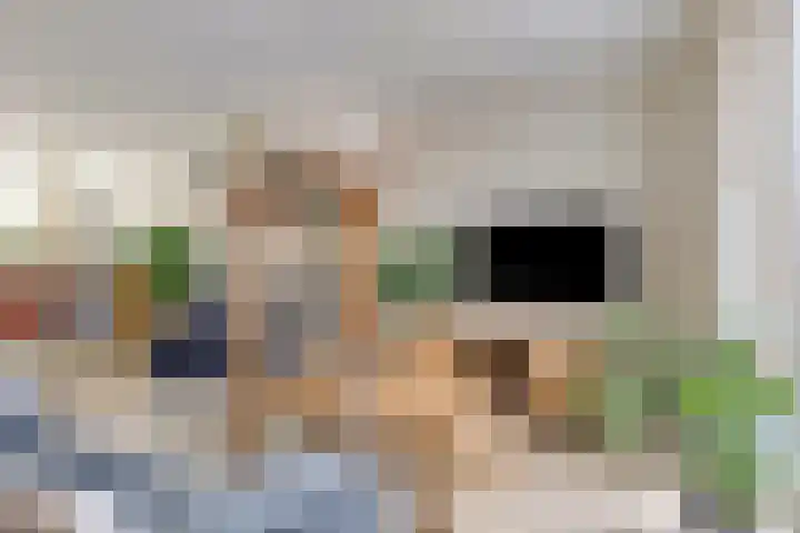 Pietmanskolkstraat 6 Borne thumbnail 12