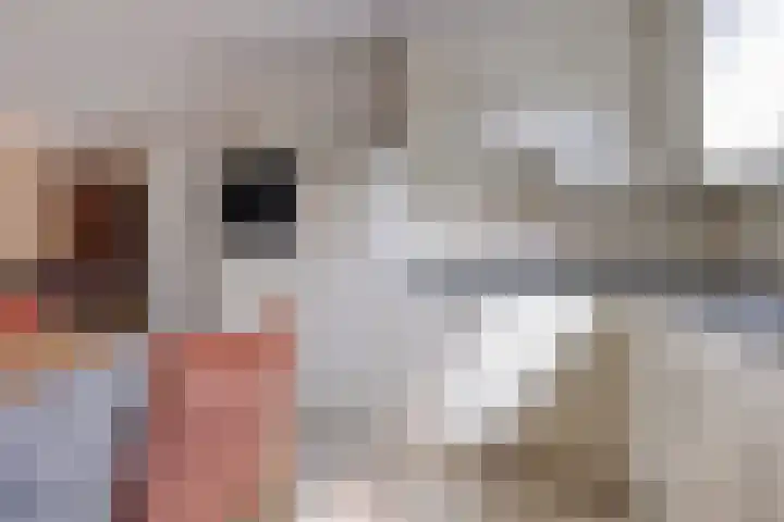 Pietmanskolkstraat 6 Borne thumbnail 17