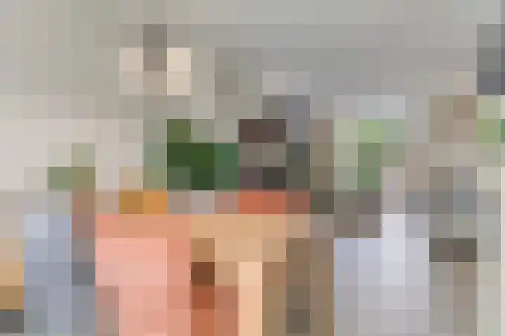 Pietmanskolkstraat 6 Borne thumbnail 18