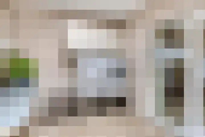 Pietmanskolkstraat 6 Borne thumbnail 19