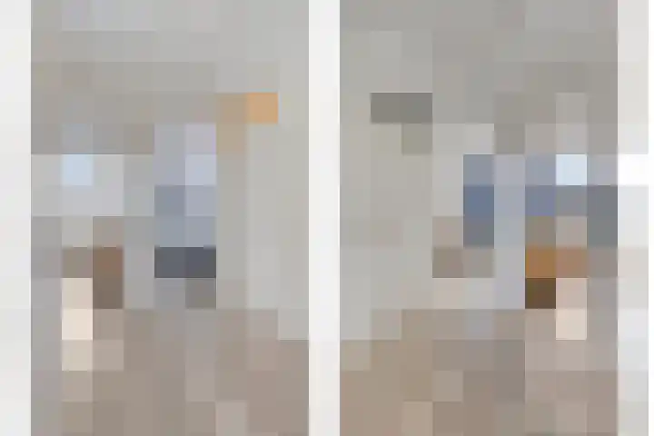 Pietmanskolkstraat 6 Borne thumbnail 20