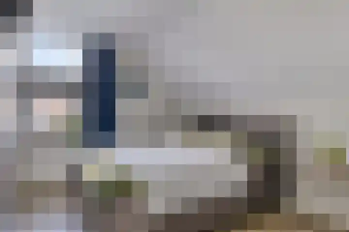 Pietmanskolkstraat 6 Borne thumbnail 21