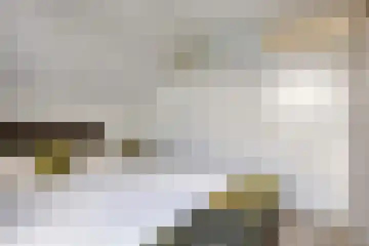 Pietmanskolkstraat 6 Borne thumbnail 22