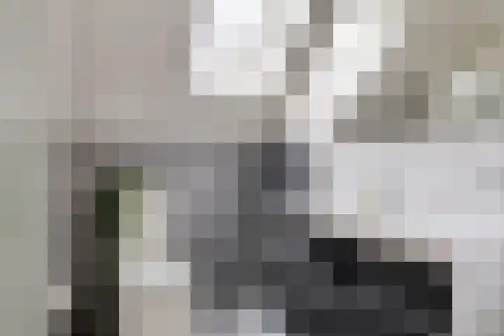 Pietmanskolkstraat 6 Borne thumbnail 24