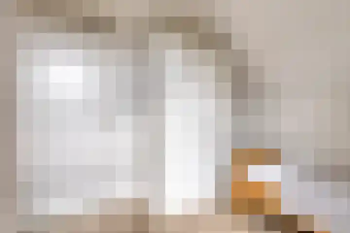 Pietmanskolkstraat 6 Borne thumbnail 28