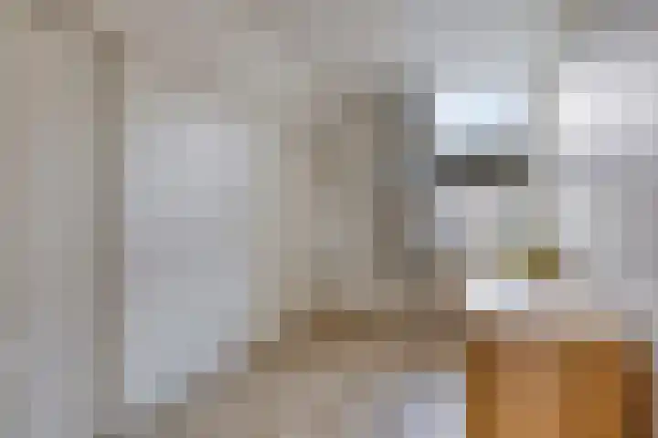 Pietmanskolkstraat 6 Borne thumbnail 29