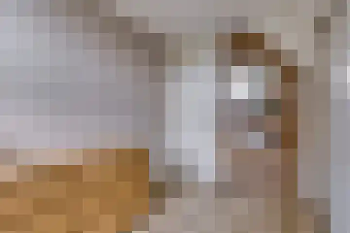Pietmanskolkstraat 6 Borne thumbnail 30