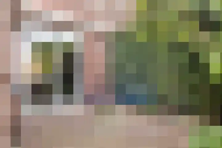 Pietmanskolkstraat 6 Borne thumbnail 32