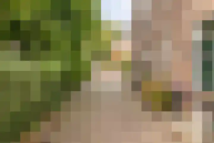 Pietmanskolkstraat 6 Borne thumbnail 36