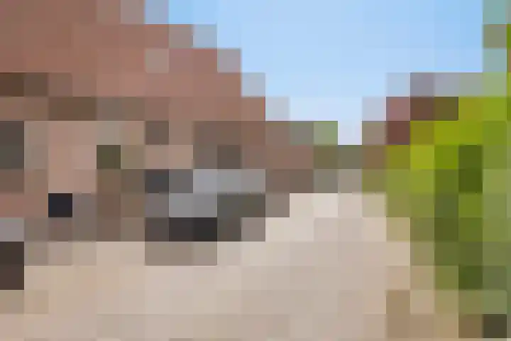 Pietmanskolkstraat 6 Borne thumbnail 37