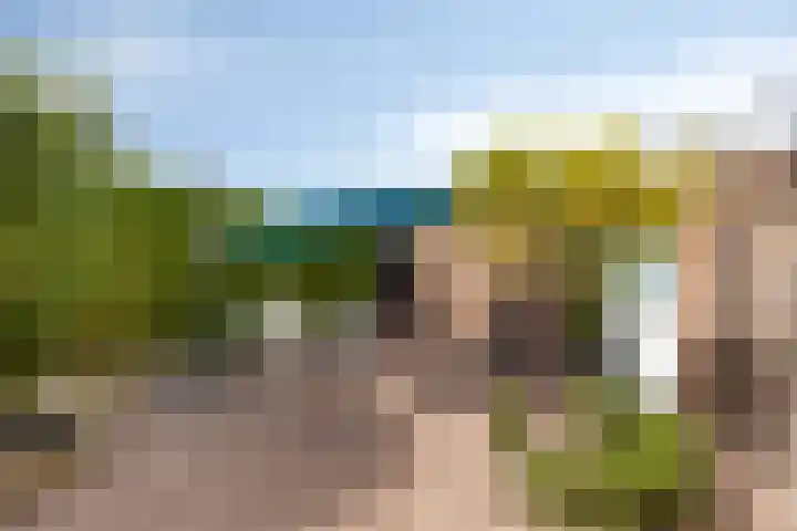Pietmanskolkstraat 6 Borne thumbnail 4
