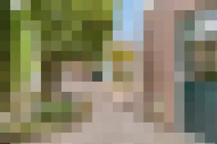 Pietmanskolkstraat 6 Borne thumbnail 5