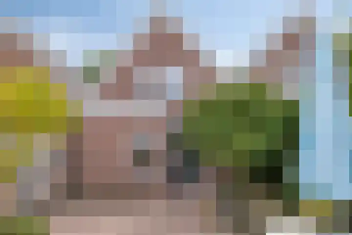 Pietmanskolkstraat 6 Borne thumbnail 6