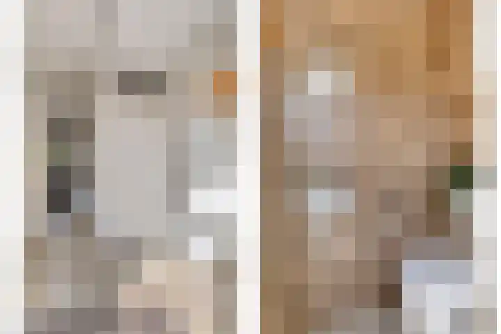 Pietmanskolkstraat 6 Borne thumbnail 9