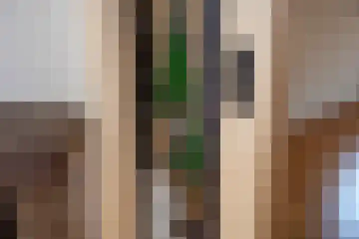 Pietmanskolkstraat 9 Borne thumbnail 10