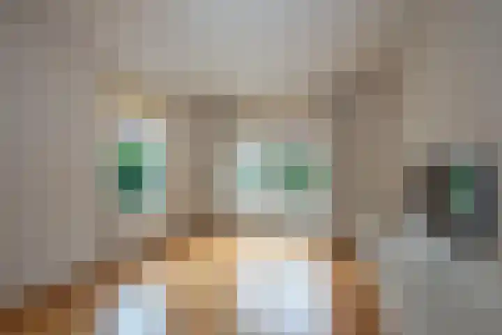 Pietmanskolkstraat 9 Borne thumbnail 12
