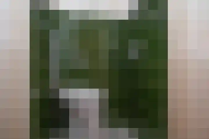 Pietmanskolkstraat 9 Borne thumbnail 13