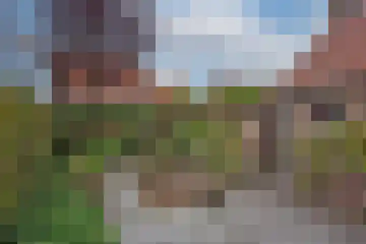 Pietmanskolkstraat 9 Borne thumbnail 29