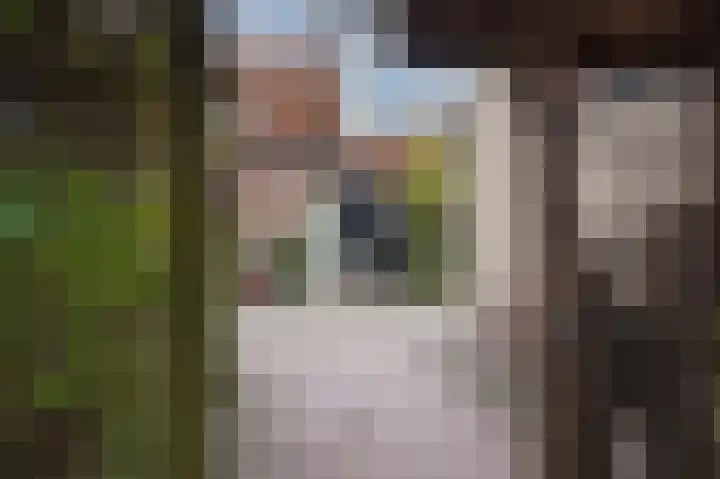 Pietmanskolkstraat 9 Borne thumbnail 30