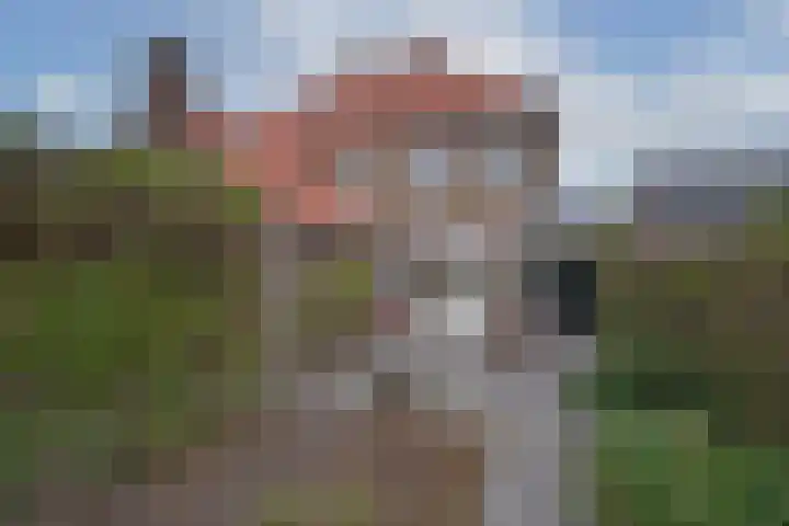 Pietmanskolkstraat 9 Borne thumbnail 32