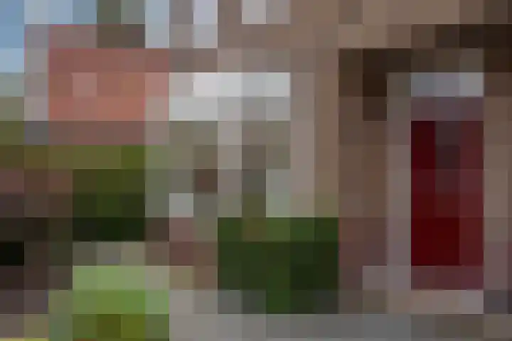 Pietmanskolkstraat 9 Borne thumbnail 33