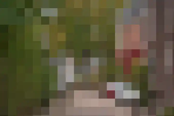 Pietmanskolkstraat 9 Borne thumbnail 36