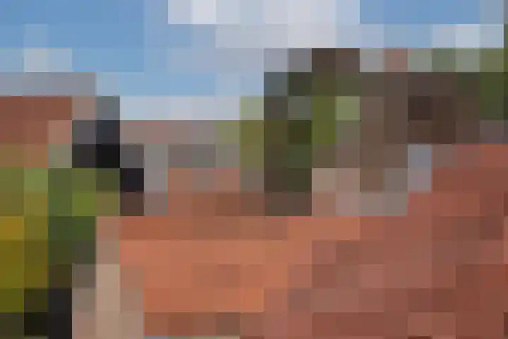 Pietmanskolkstraat 9 Borne thumbnail 37