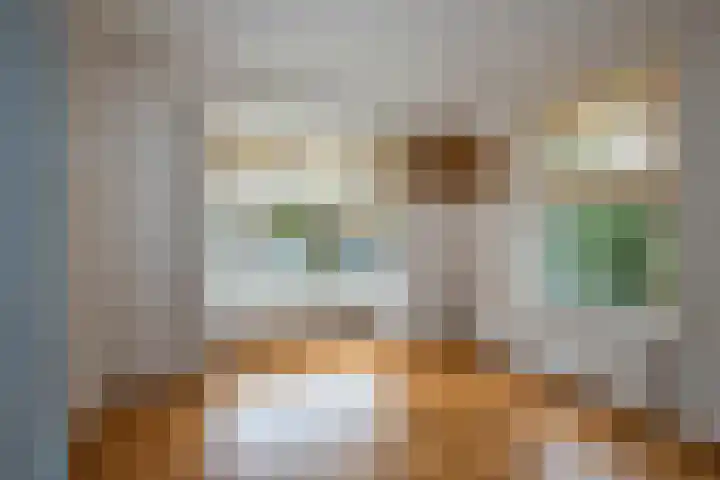 Pietmanskolkstraat 9 Borne thumbnail 7