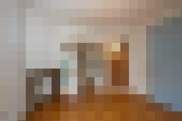 Pietmanskolkstraat 9 Borne thumbnail 8