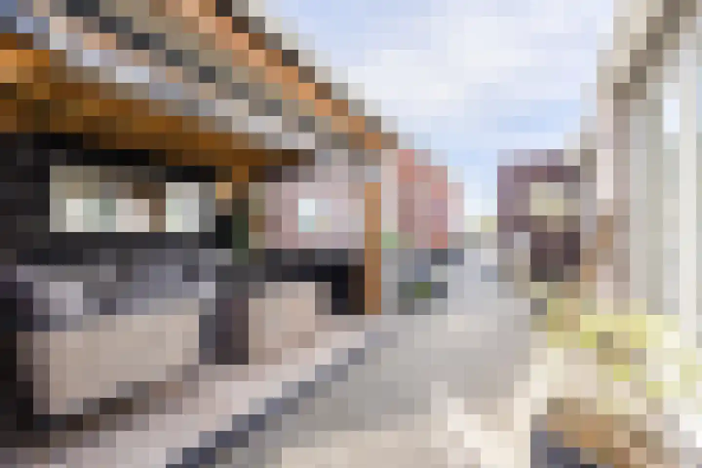 Pietseweg 15 a Oud Gastel thumbnail 66