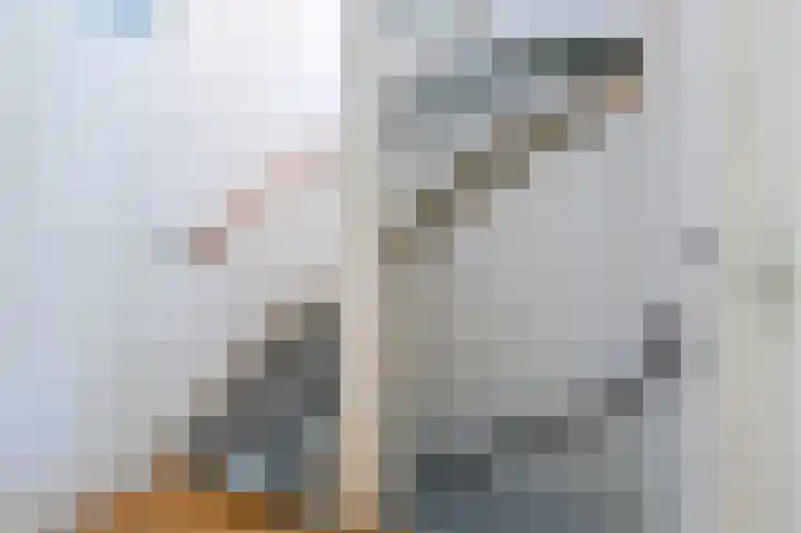 Pigmenthof 25 Almere thumbnail 16