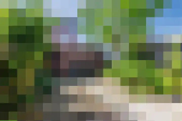 Pigmenthof 25 Almere thumbnail 34