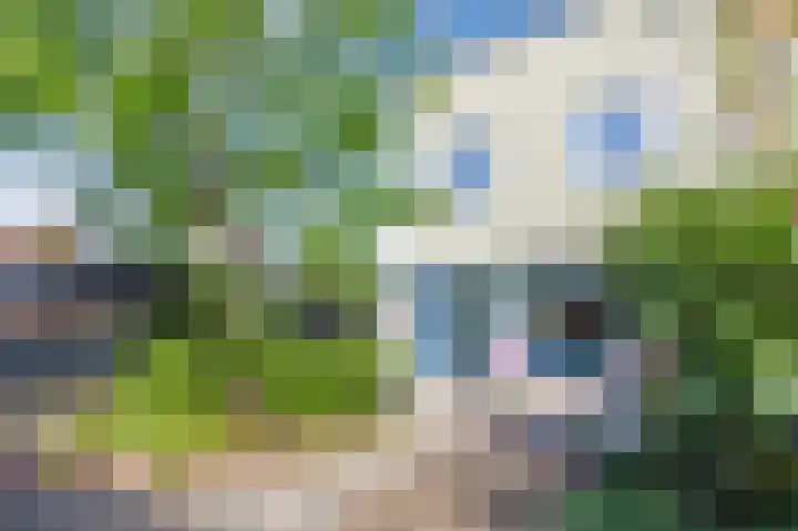Pigmenthof 25 Almere thumbnail 36