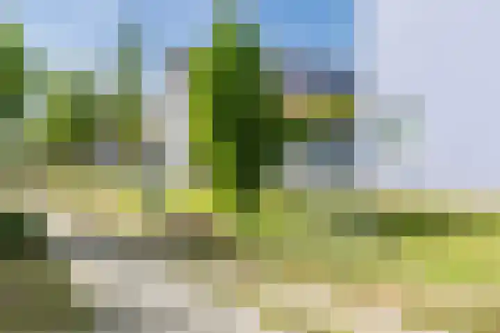 Pigmenthof 25 Almere thumbnail 38
