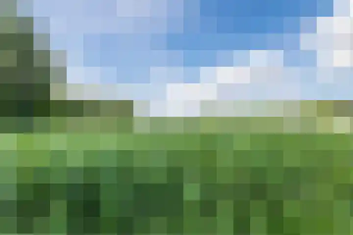 Pigmenthof 25 Almere thumbnail 41