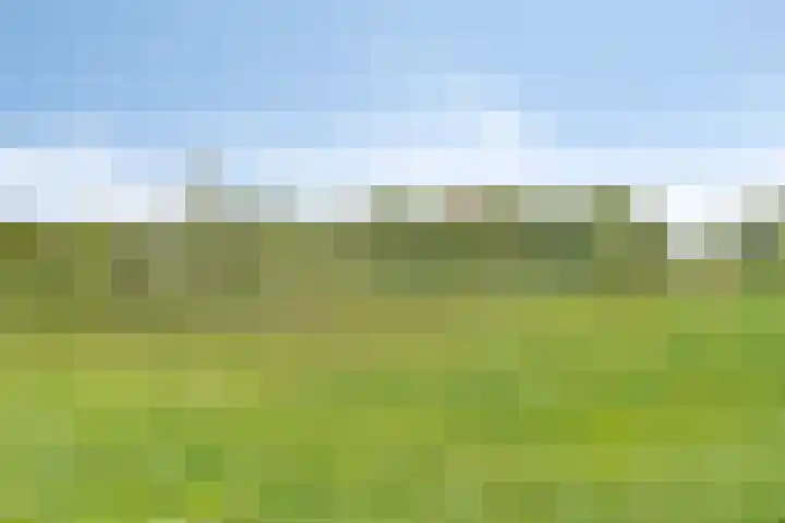 Pigmenthof 36 Almere thumbnail 29