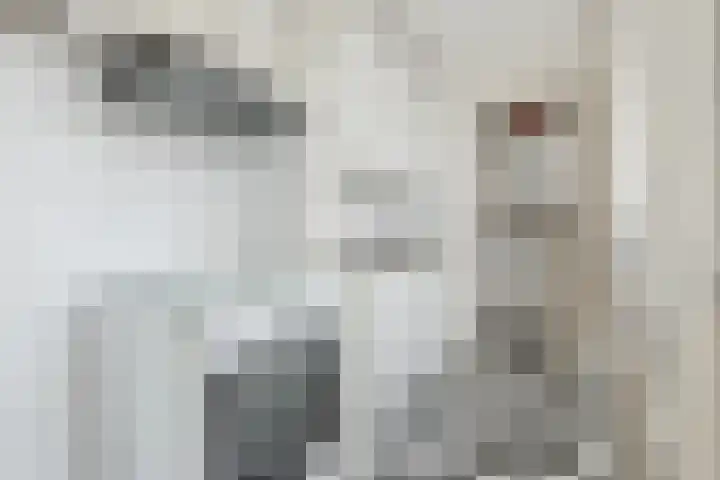 Pijkestraat 17 Nijmegen thumbnail 9