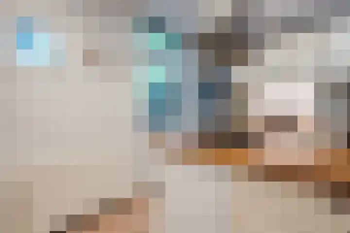 Pijkestraat 3 Nijmegen thumbnail 11